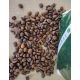 KAWA ZIARNISTA ekspresu 1kg Robusta/Arabica WŁOSKA Caffe BRACCIO ESPRESSO